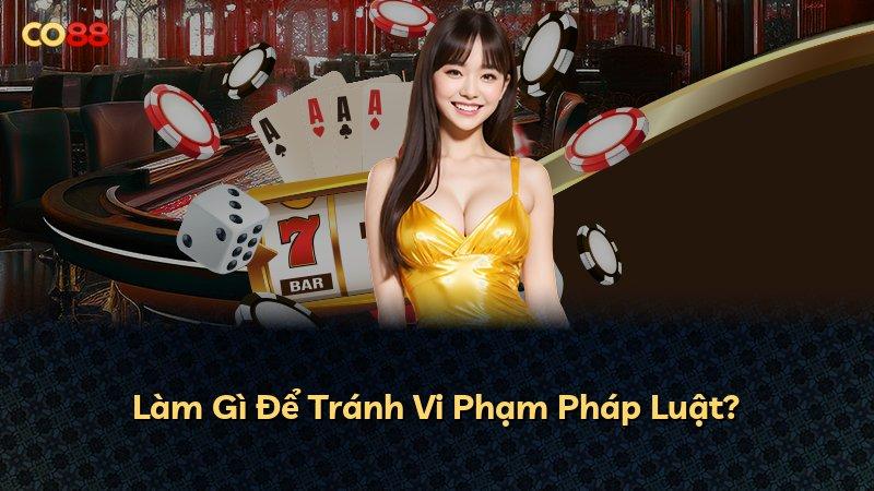 Làm Gì Để Tránh Vi Phạm Pháp Luật?